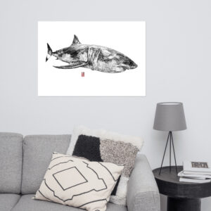 Requin blanc solitaire #1